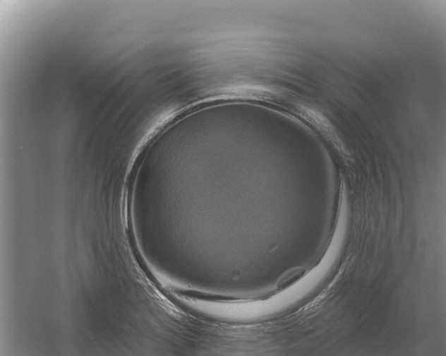 X0000058141180200509302011