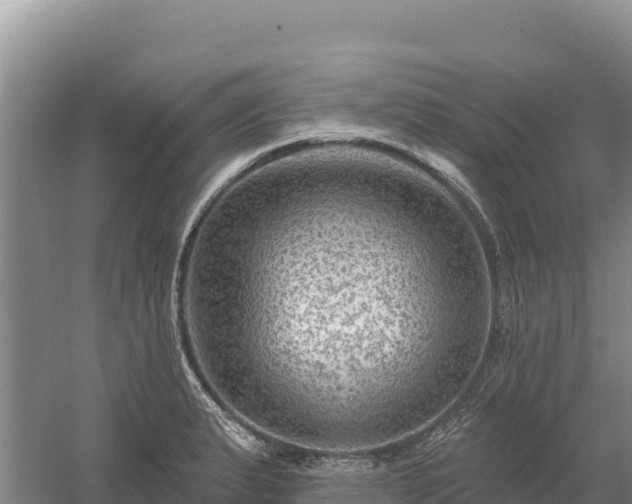 X0000058141183200509302011