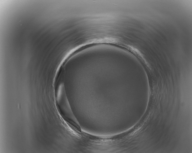 X0000058141184200509302011