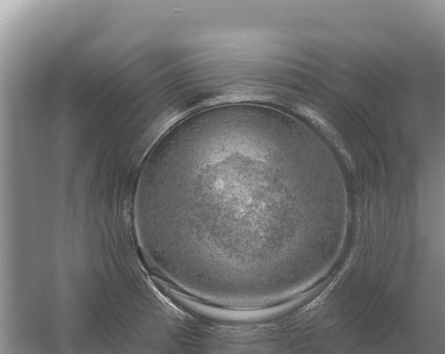 X0000058141185200509302011