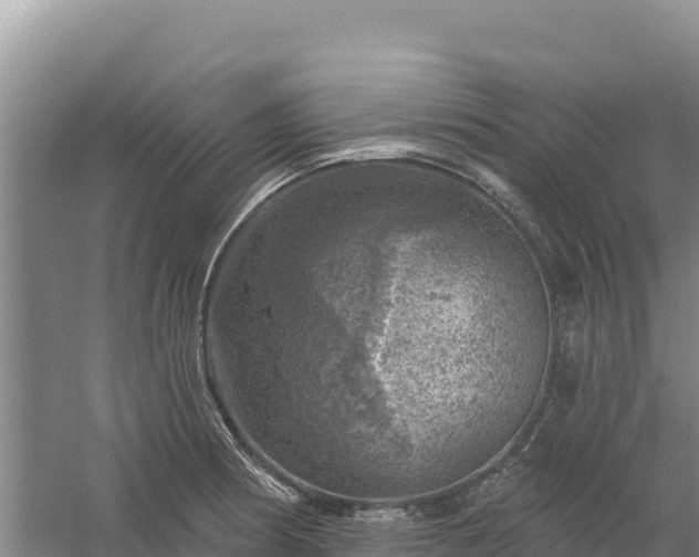 X0000058141186200509302011