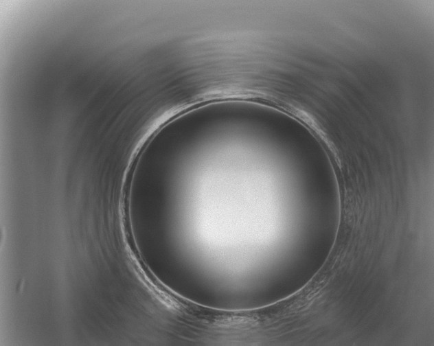 X0000058141187200509302011