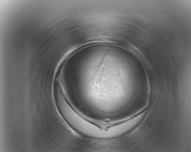 X0000058141188200509302011