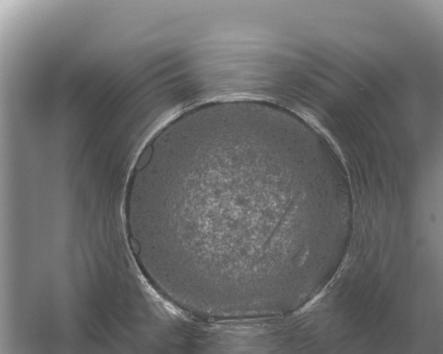 X0000058141189200509302011