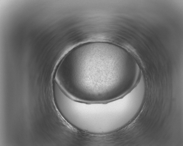 X0000058141192200509302011