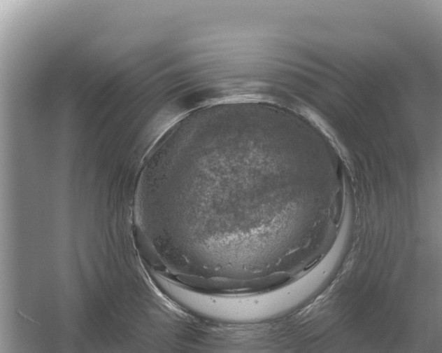 X0000058141193200509302011