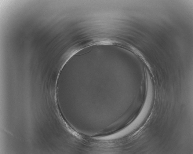 X0000058141194200509302011