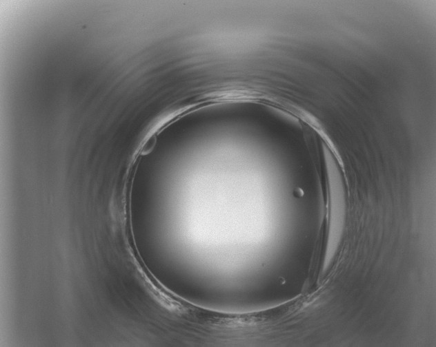 X0000058141195200509302011