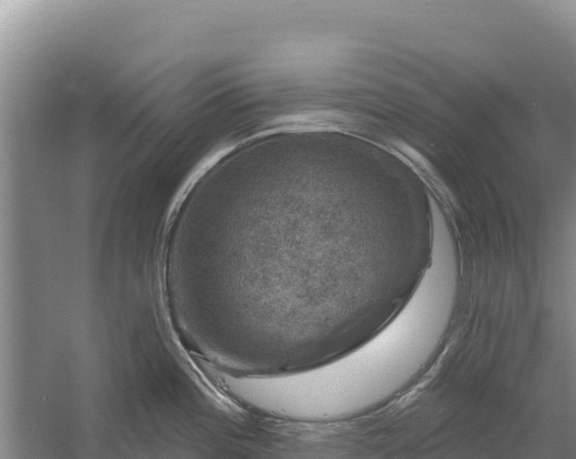 X0000058141196200509302011