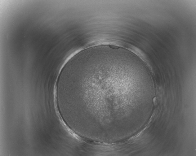 X0000058141198200509302011