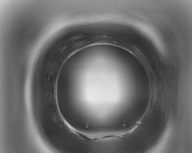 X0000058141199200509302010