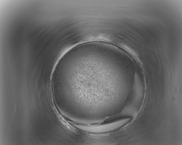 X0000058141200200509302010