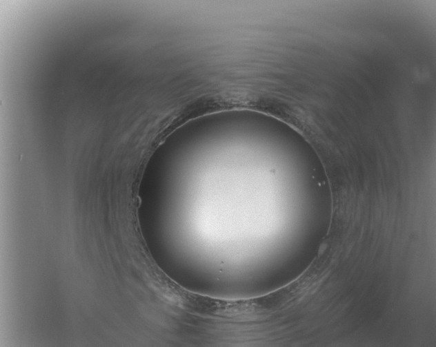 X0000058141201200509302010