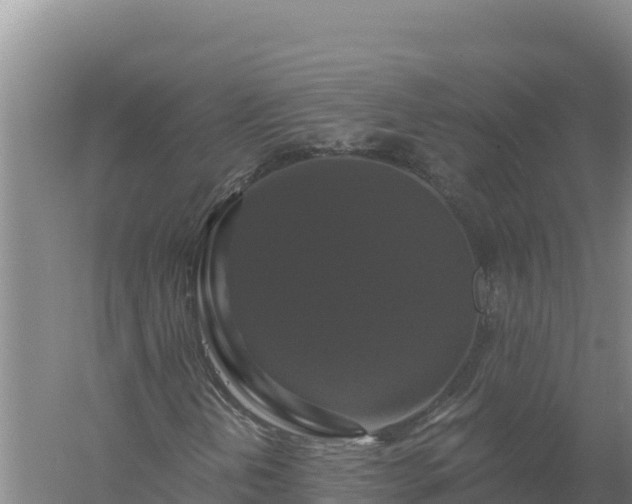 X0000058141202200509302010