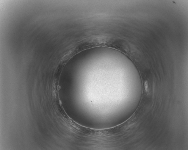 X0000058141203200509302010