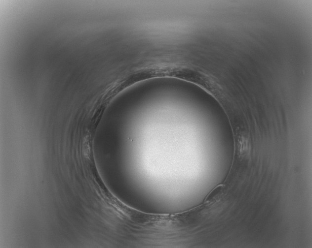 X0000058141204200509302010