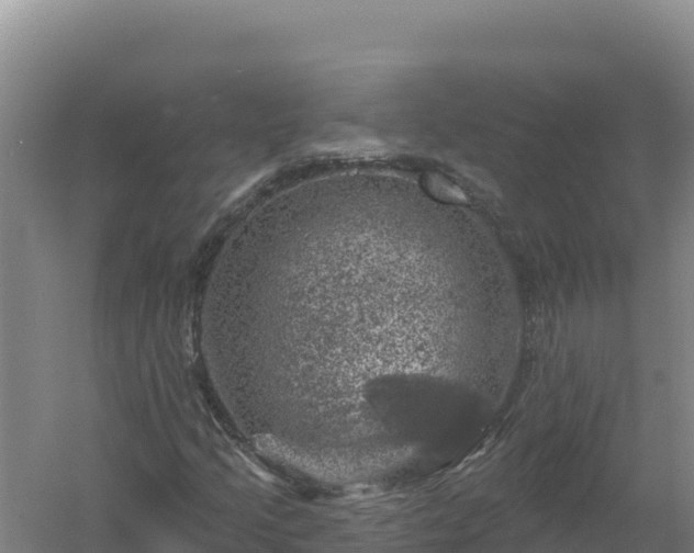 X0000058141205200509302010