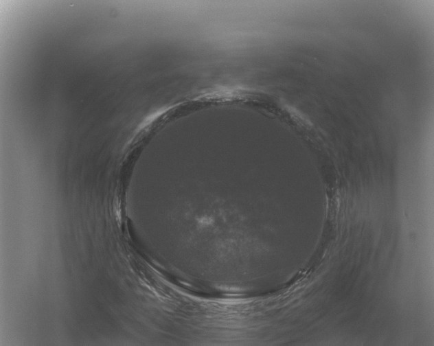 X0000058141206200509302010