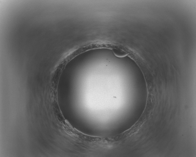 X0000058141207200509302010