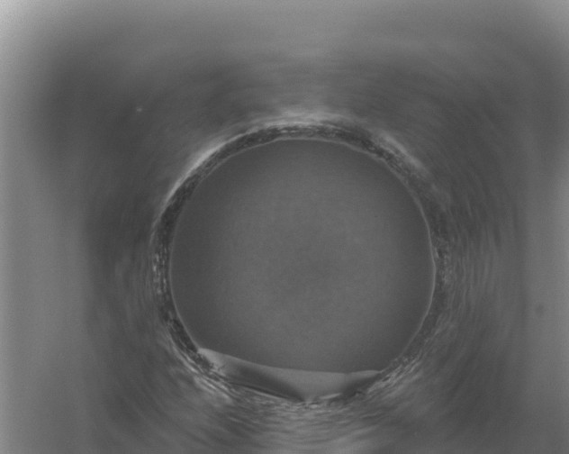 X0000058141208200509302010