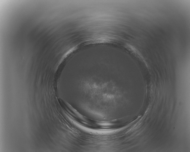 X0000058141210200509302010