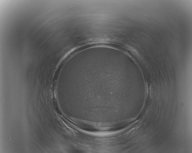 X0000058141212200509302010