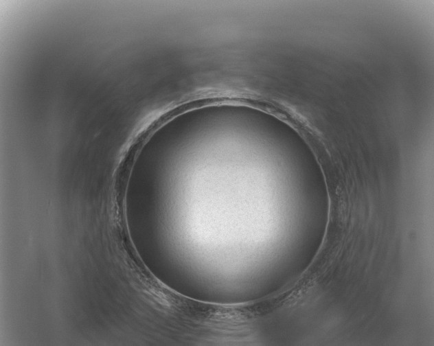 X0000058141215200509302010