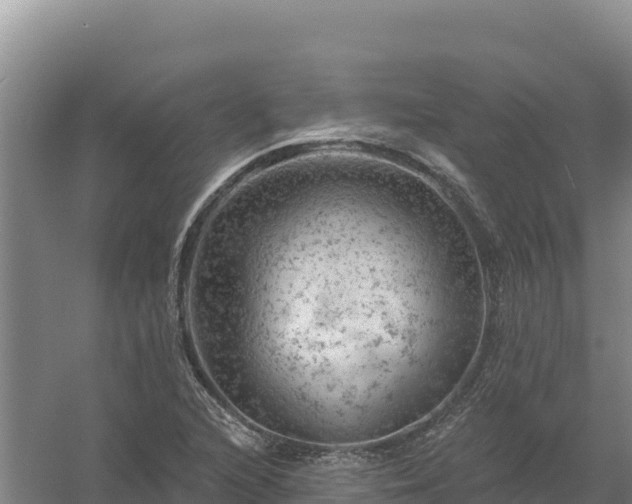 X0000058141216200509302010