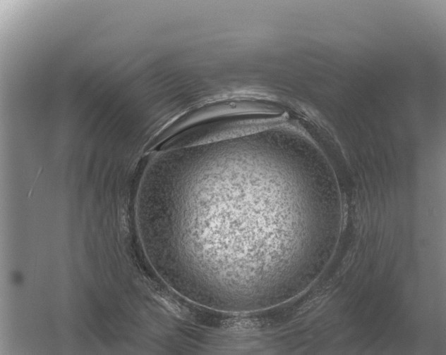 X0000058141217200509302010