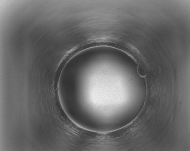 X0000058141218200509302010