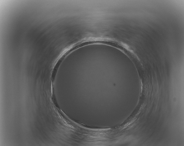 X0000058141221200509302010