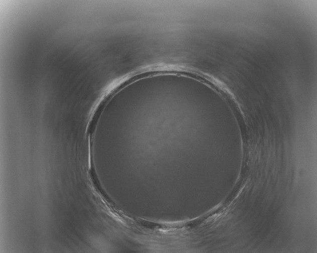 X0000058141223200509302010