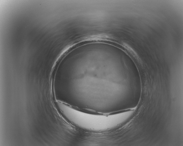 X0000058141224200509302010