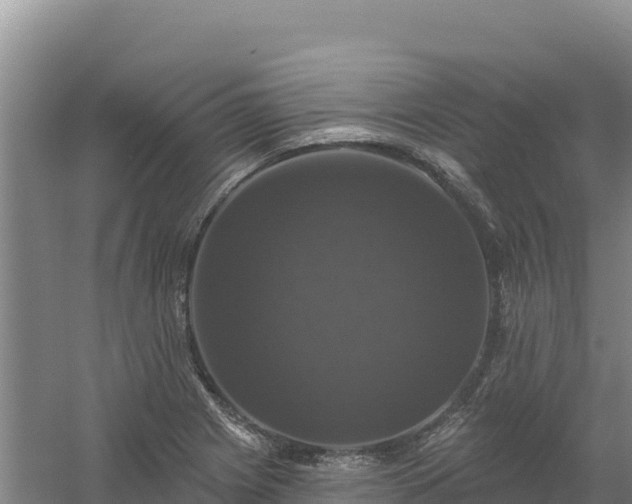 X0000058141225200509302010