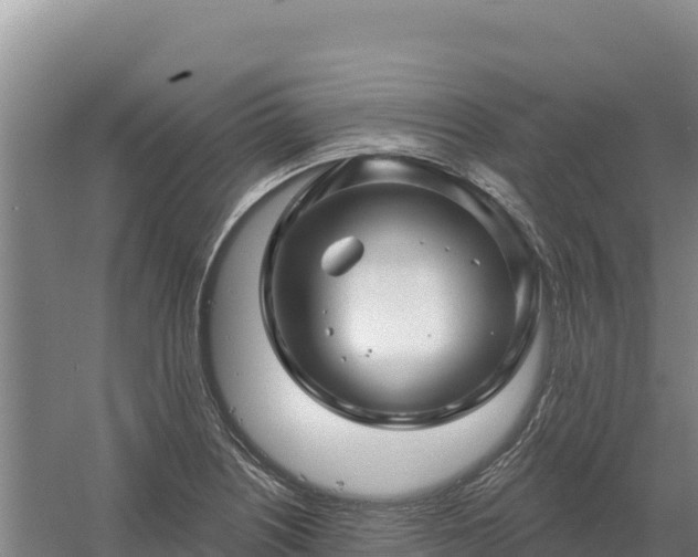 X0000058141226200509302010