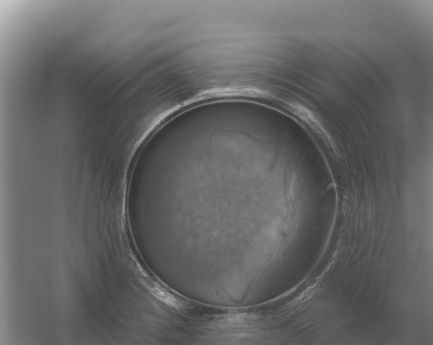 X0000058141228200509302010