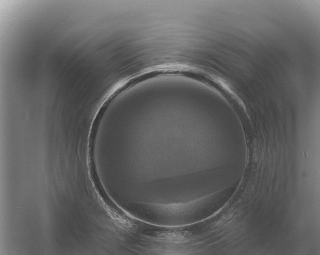 X0000058141229200509302010