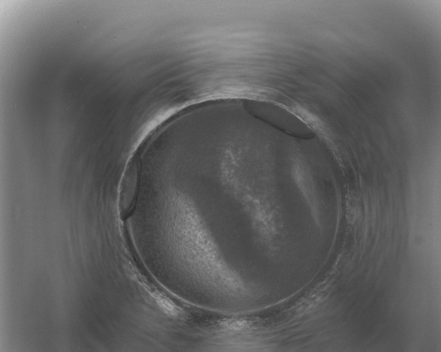 X0000058141230200509302010