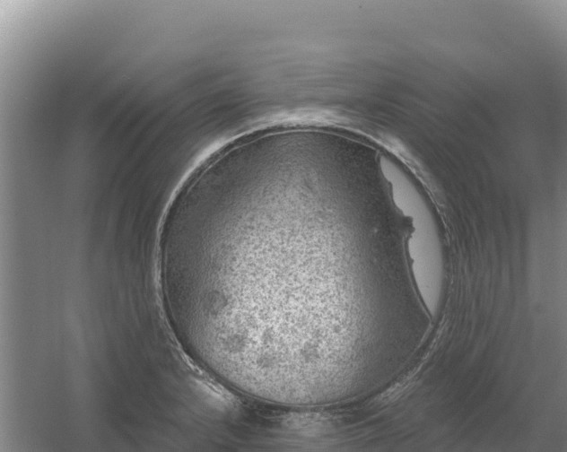 X0000058141232200509302010