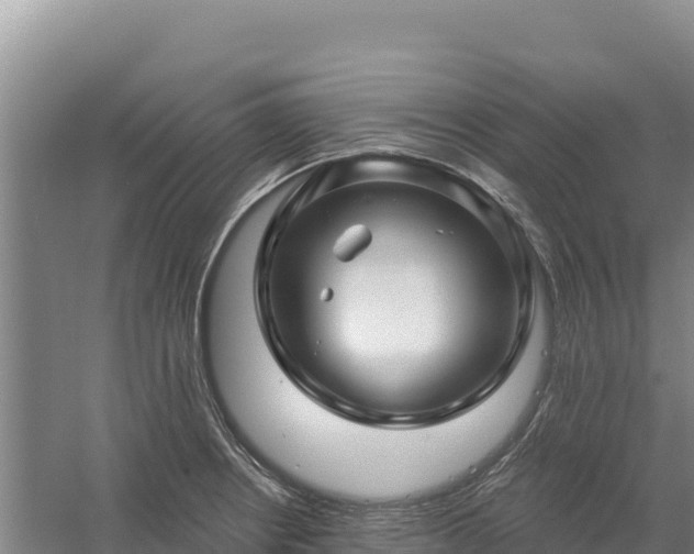 X0000058141234200509302010