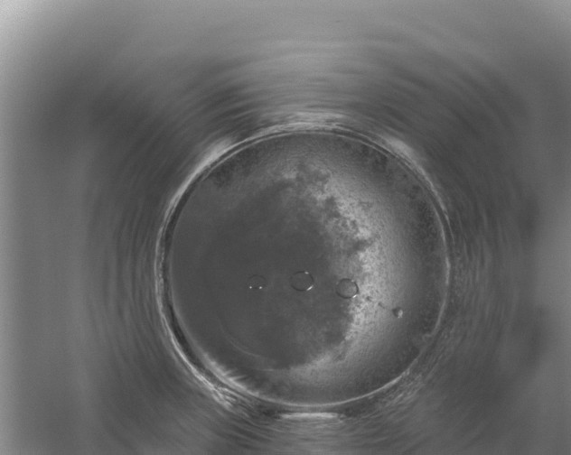 X0000058141235200509302010