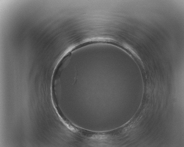 X0000058141237200509302010