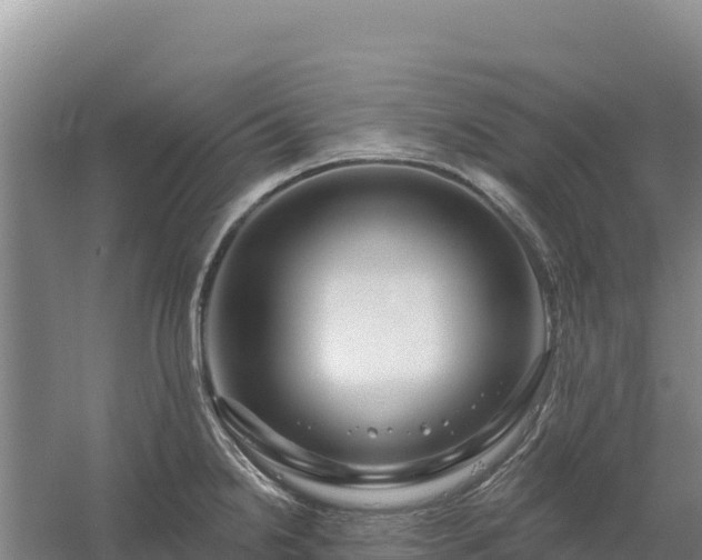 X0000058141238200509302010