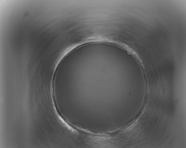 X0000058141239200509302010