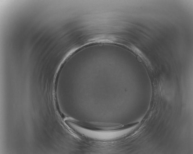 X0000058141240200509302010