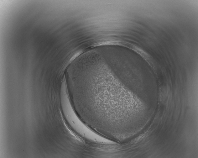 X0000058141241200509302010