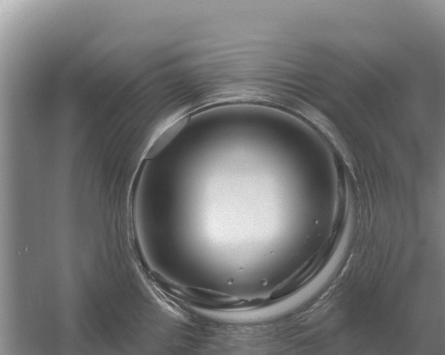 X0000058141242200509302010