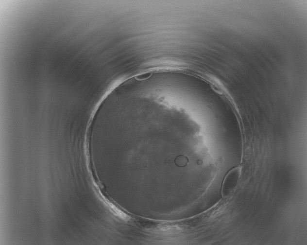 X0000058141243200509302010