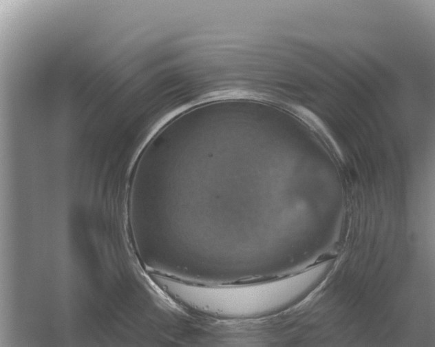 X0000058141244200509302010