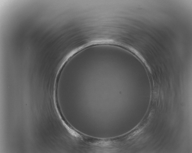 X0000058141245200509302010